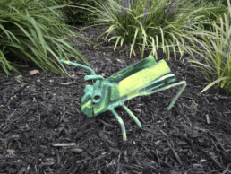 Green Grasshopper