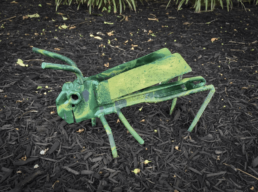 Green Grasshopper