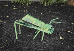 Green Grasshopper